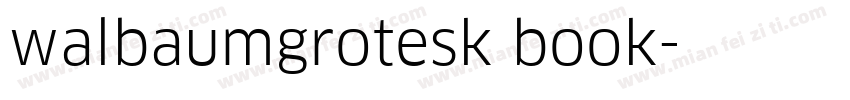walbaumgrotesk book字体转换